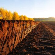 Vintage Acquisitions | Malt Whisky Market will touch a new level in upcoming year with Top Key players like Jura, Bowmore, The Macallan, Bunnahabhain, The Balvenie, Highland Park, Aberlour Whisky DECOMPOSED MATTER - THE FLAVOUR CHOICE FOR MILLIONS