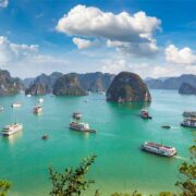 Vintage Acquisitions | Islay green energy plant secures funding from AMP Clean Energy Government pours £9m into distilleries to fund eco-friendly improvements