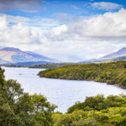 Vintage Acquisitions | Liz Truss reveals plans to remove Indian tariffs on Scotch whisky Joy for Scotch whisky industry after breakthrough in biggest market