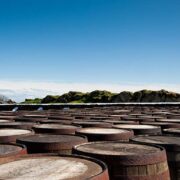 Vintage Acquisitions | Scotch whisky showing signs of global recovery BRINGING UP BABY - THAT'S THE SPIRIT!