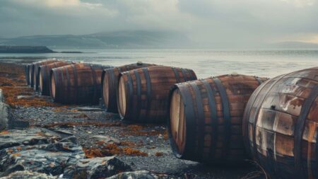 The Impact of Age on Whisky Investment Returns
